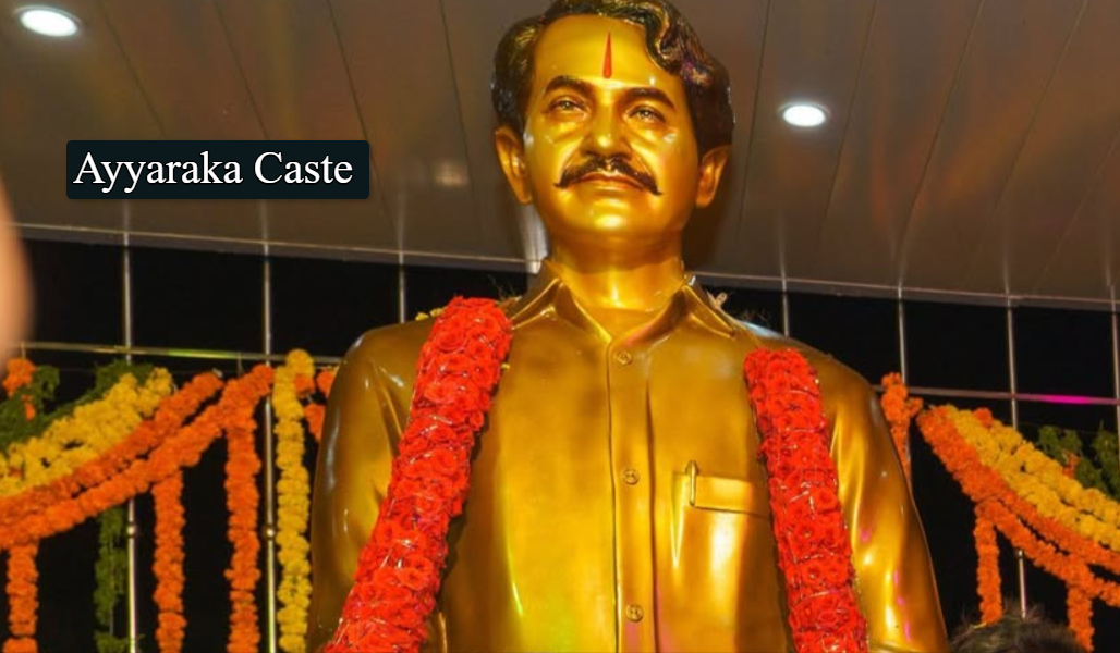 Ayyaraka caste