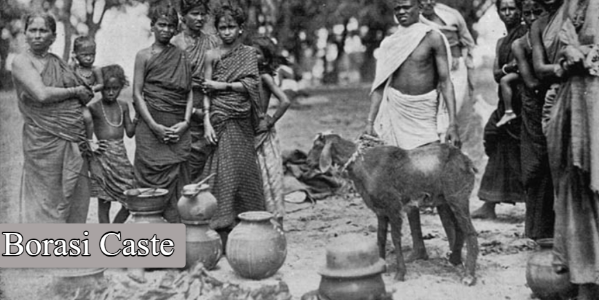 Borasi Caste