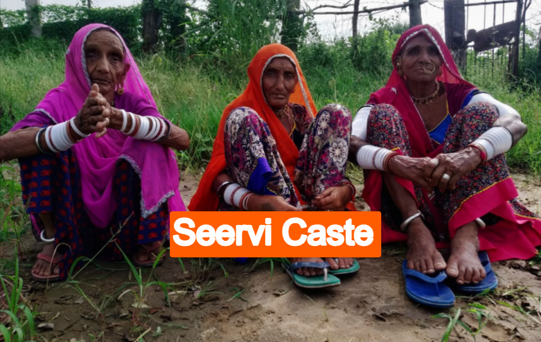 Seervi Caste