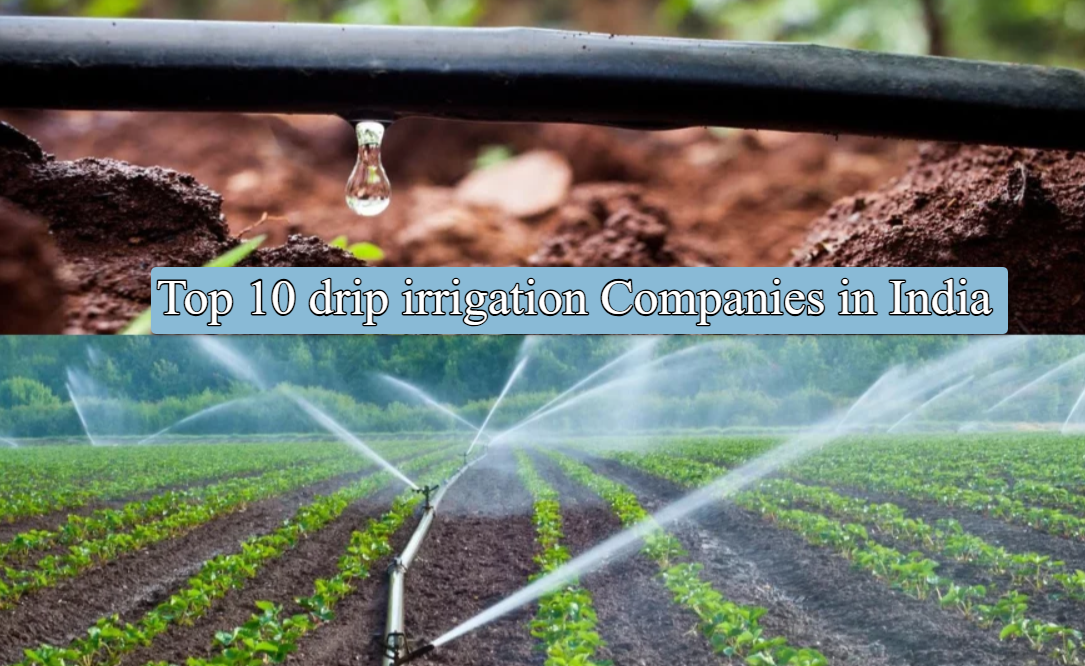 Top 10 drip irrigation Companies in India
